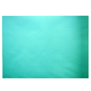 Mostrar detalles de Hoja de papel París 150 gm Verde 70 x 100 cm Imagen de Hoja de papel París 150 gm Verde 70 x 100 cm