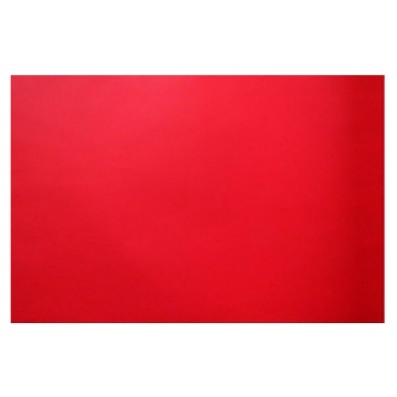 Zeige Details für Papierbogen Paris 220 g Rot 70 x 100 cm Bild von Papierbogen Paris 220 g Rot 70 x 100 cm