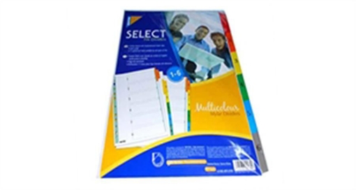 Picture of Mylar Dividers with 1:10 Tab - Mintra