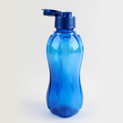 Picture of Water bottle 700 ml max motion, Model 1681.