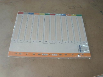 Show details for 12 Color Plastic Tongue Cardboard Dividers - Yassin YA2412 Picture of 12 Color Plastic Tongue Cardboard Dividers - Yassin YA2412
