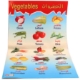 Mostrar detalles de Póster Educativo de Verduras 50 x 70 cm Imagen de Póster Educativo de Verduras 50 x 70 cm