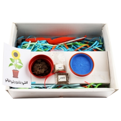 Picture of Mother's Day Box 11 cm Planter + 2 Planting Tools + 3 Seed Packs + Plant - Mintra 9615