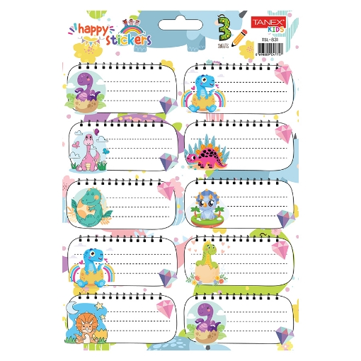 Picture of School Tickets For Girls Different Shapes 10 Pieces Colors 3 Sheets - Tanex TSL-830