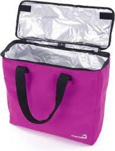 Imagen de Bolsa de Almuerzo Grande Impresa para Damas - Mintra 09922 KAYA