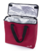 Imagen de Bolsa de Almuerzo Grande Impresa para Damas - Mintra 09922 KAYA