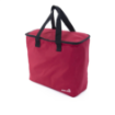Imagen de Bolsa de Almuerzo Grande Impresa para Damas - Mintra 09922 KAYA