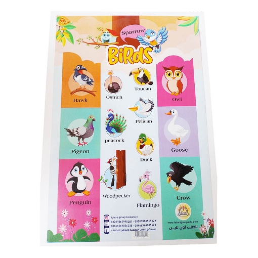 Image de Affiche d'oiseaux A3
